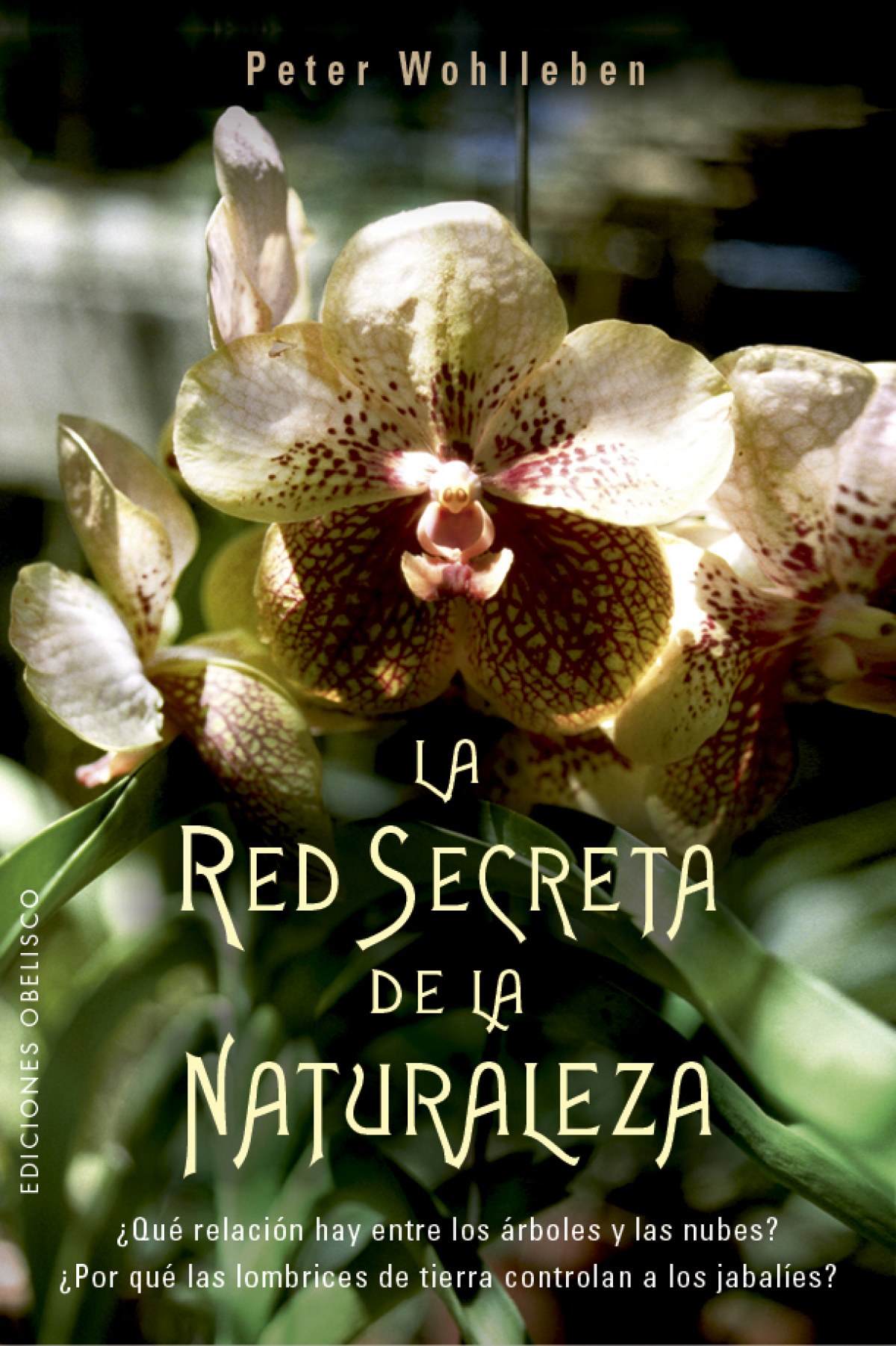 La red secreta de la naturaleza - Wohlleben, Peter