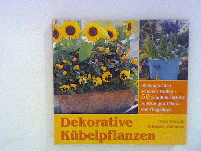 Dekorative Kübelpflanzen - Evelegh, Tessa und Debbie Patterson