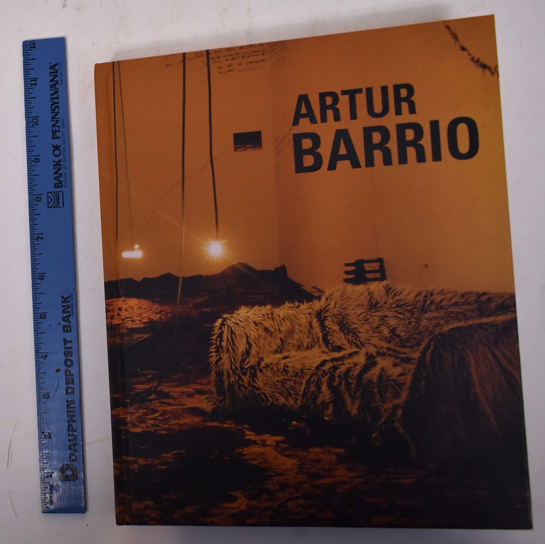 Artur Barrio - Canongia, Ligia and Artur Alípio Barrio de Sousa Lopes