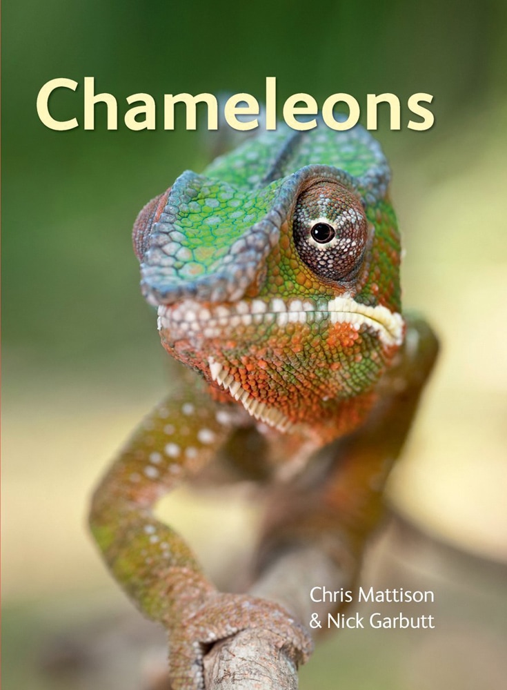 Chameleons. - Chris Mattison