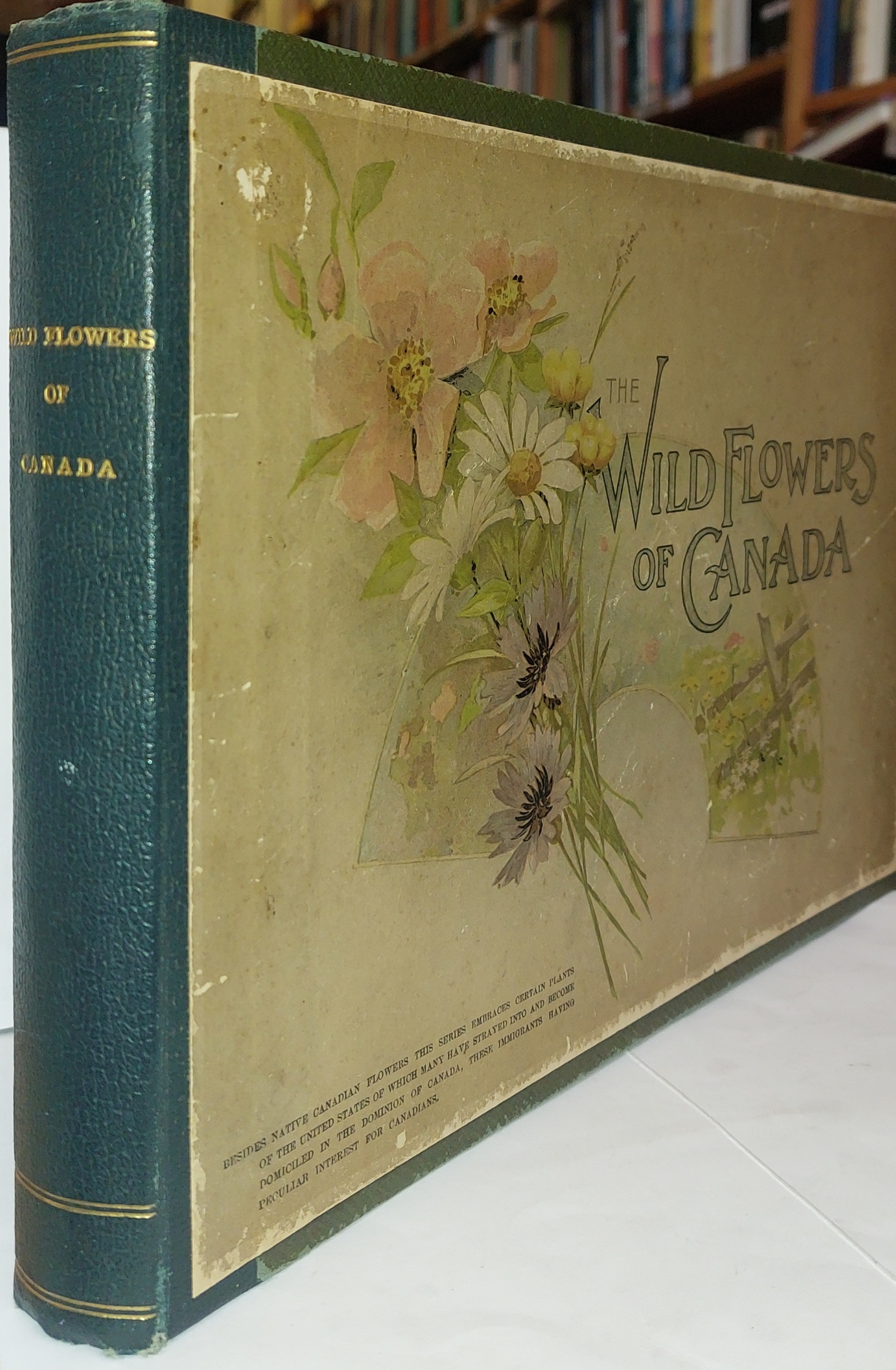 Wild Flowers Of Canada Various [Very Good] [Hardcover]