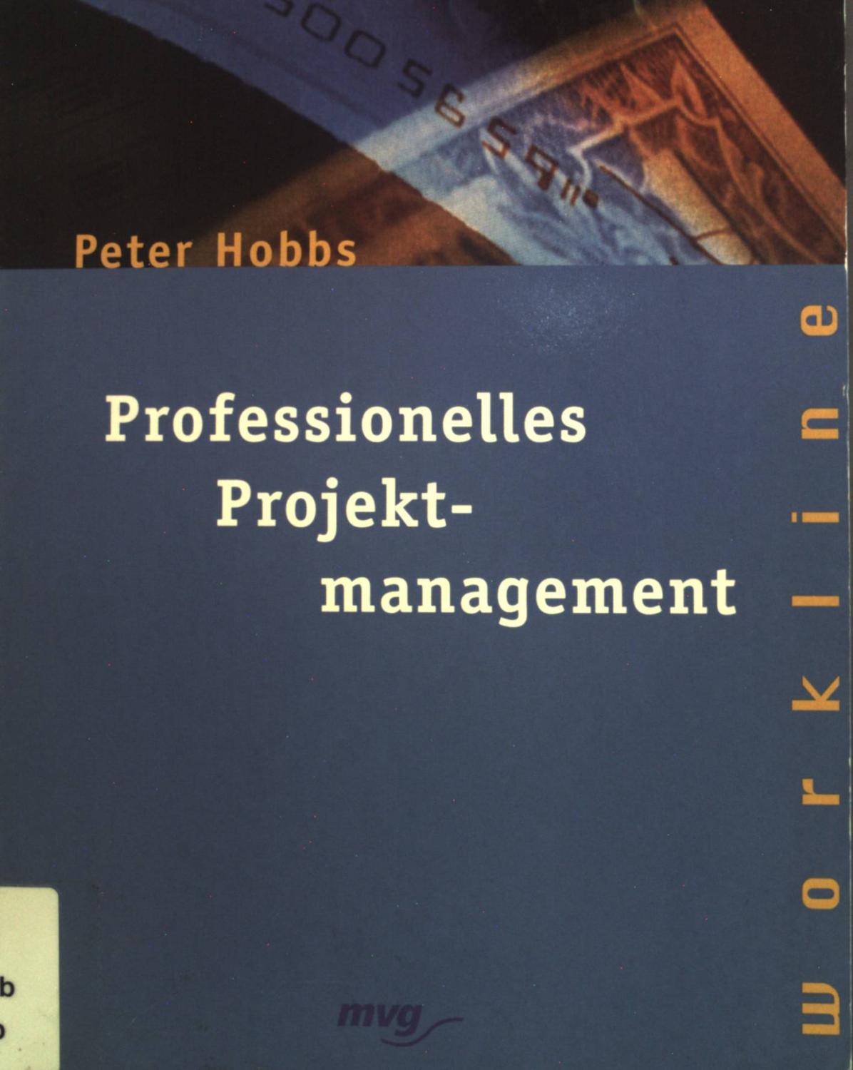Professionelles Projektmanagement. Workline. - Hobbs, Peter