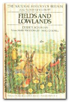 Fields and Lowlands - Boatman, Derrick J.