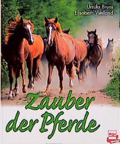 Zauber der Pferde - Bruns, Ursula und Elisabeth Weiland
