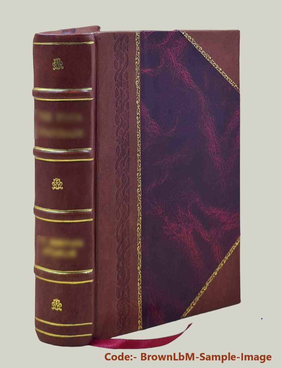 Patrologiae cursus completus: sive biblioteca universalis,integra uniformis, commoda, oeconomica . (1863)[Leather Bound] - Jacques-Paul Migne
