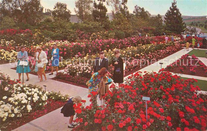 Postkarte Carte Postale Whittier California Pageant of Roses Garden