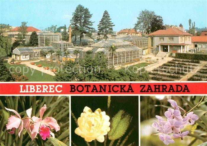 Postkarte Carte Postale Liberec Botanicka zahrada Cattleya hybr