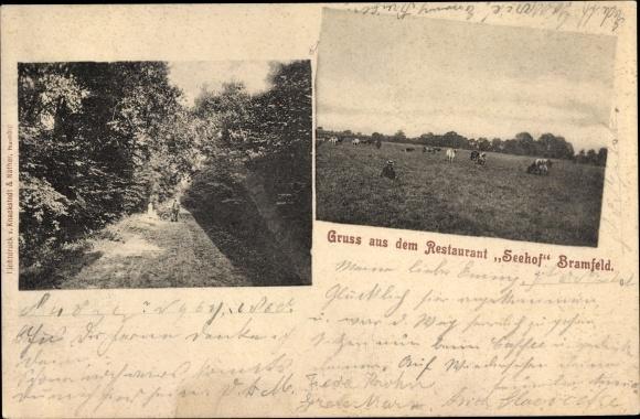 Ansichtskarte / Postkarte Hamburg Wandsbek Bramfeld, Restaurant Seehof, Wiese, Waldweg