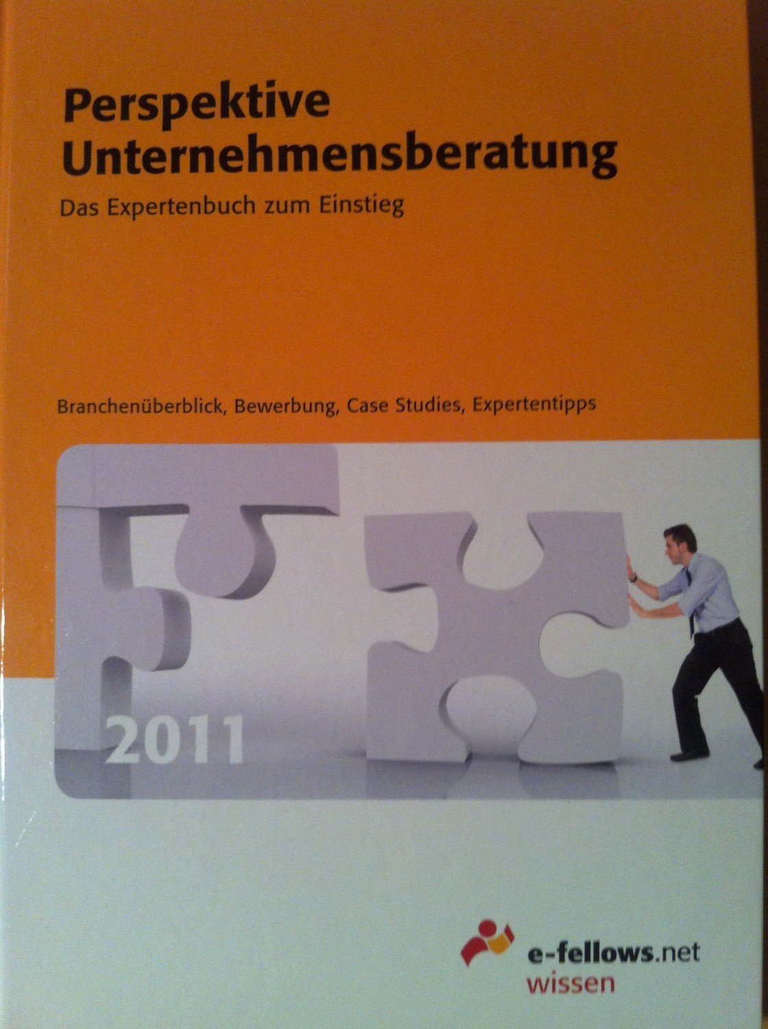 Perspektive Unternehmensberatung 2011: Das Expertenbuch zum Einstieg - Hies, Dr. Michael (Hrsg.)