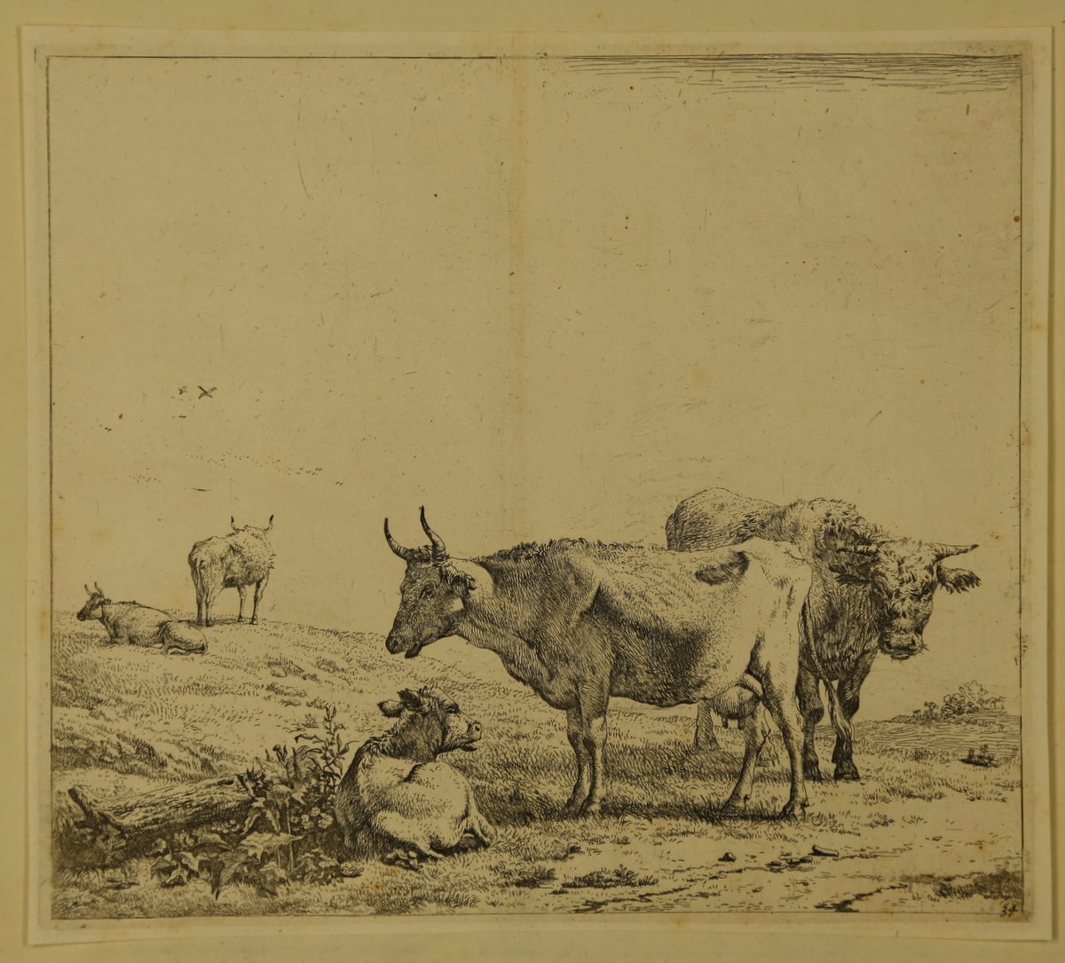 Die Kuh mit dem Kalbe zu den Füssen, hinter ihnen der Stier und in der