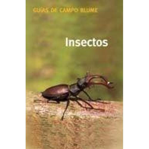 INSECTOS.RUSTICA. GUIAS DE CAMPO BLUME - Bellmann, Heiko