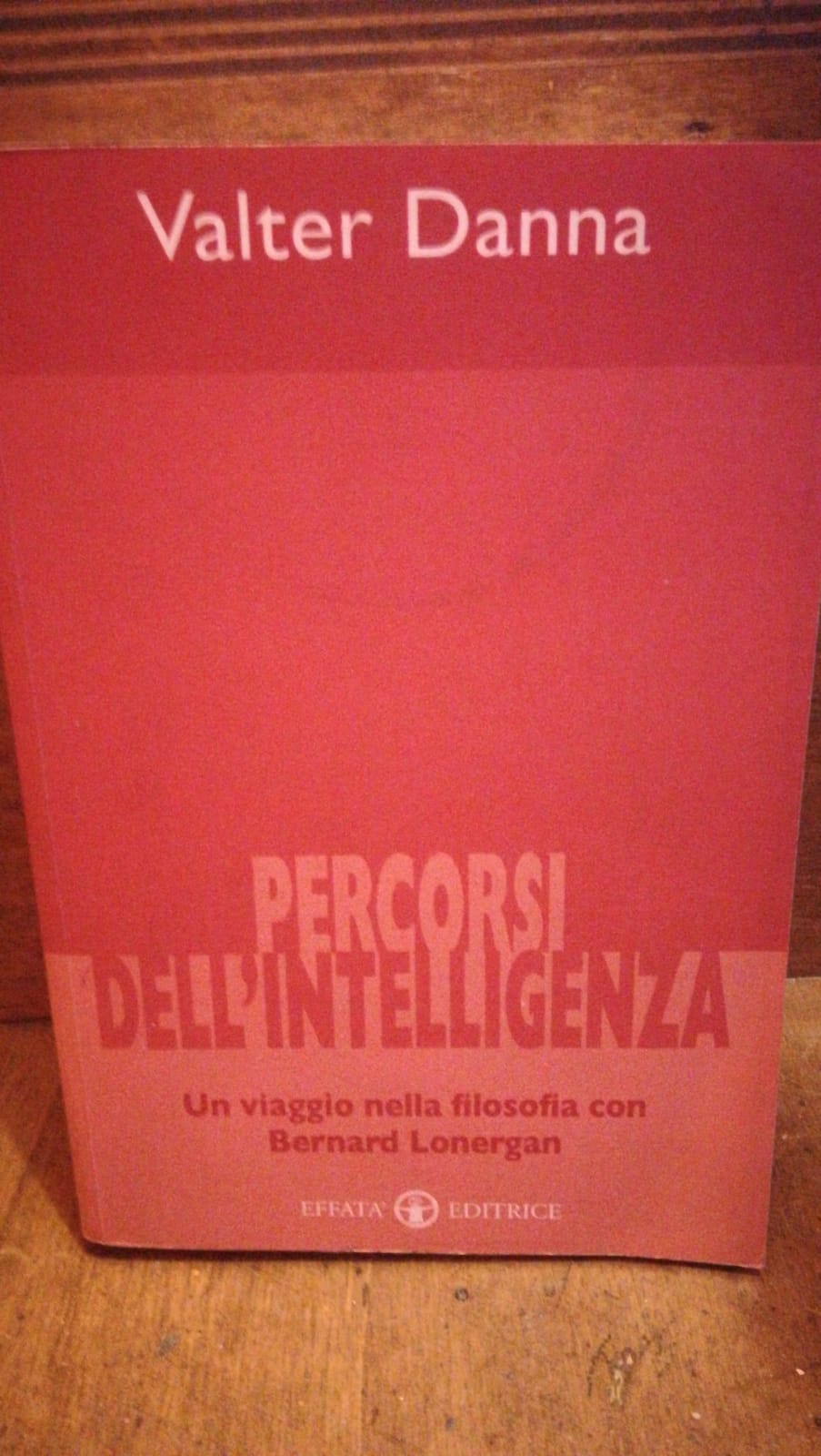 Percorsi dell'intelligenza. Un viaggio nella filosofia con Bernard Lonergan - Valter Danna