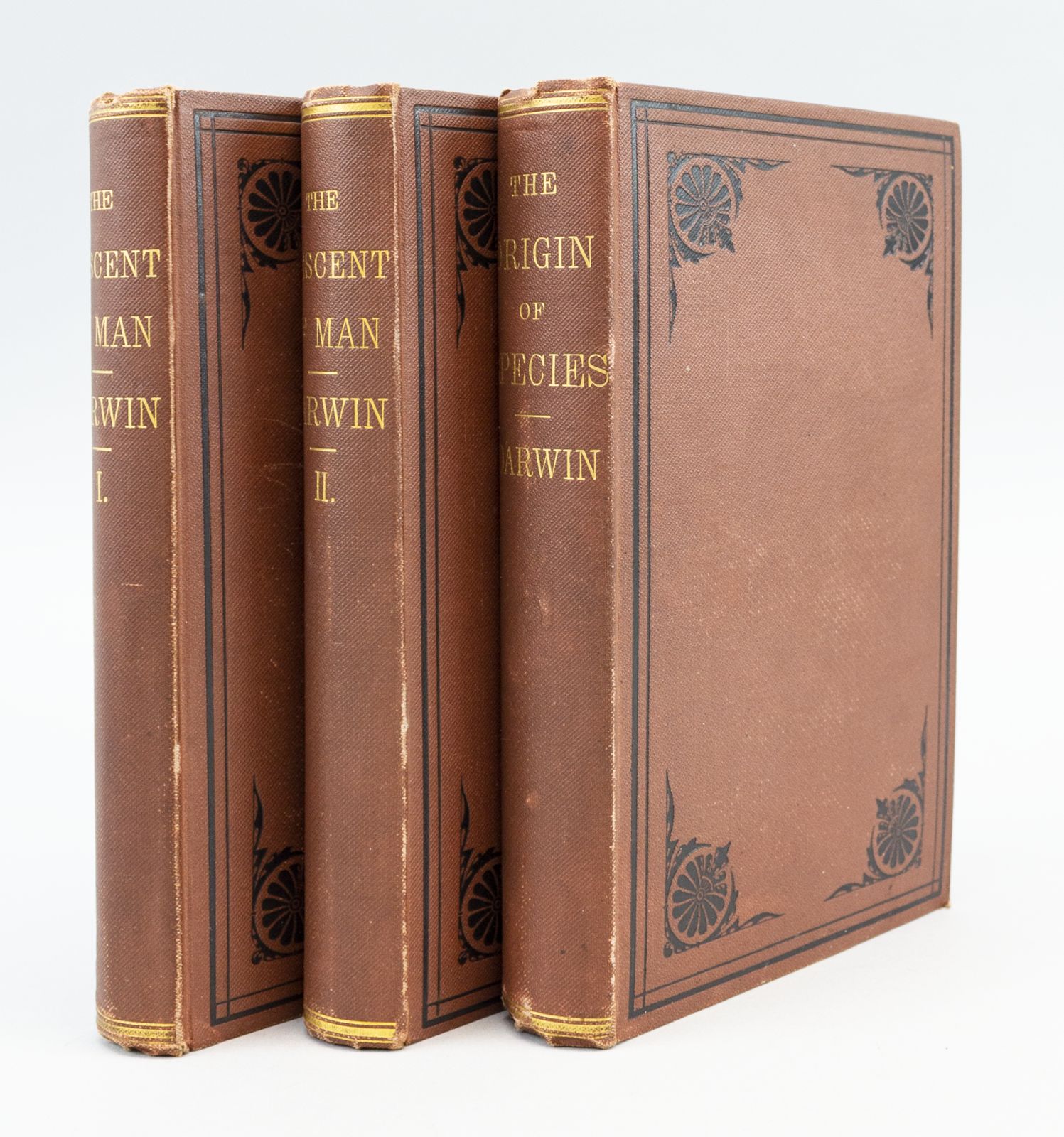 the-descent-of-man-with-on-the-origins-of-species-by-darwin-charles