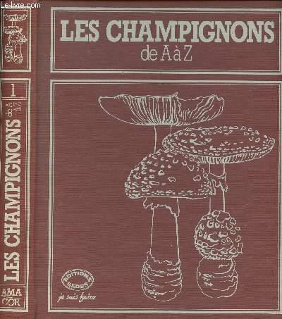 Les Champignons De A A Z Tome 1 Collection Je Sais Faire By Collectif Bon Couverture Rigide 1980 Le Livre