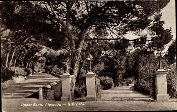 Ansichtskarte / Postkarte Gibraltar, Upper Road, Alameda, Botanischer