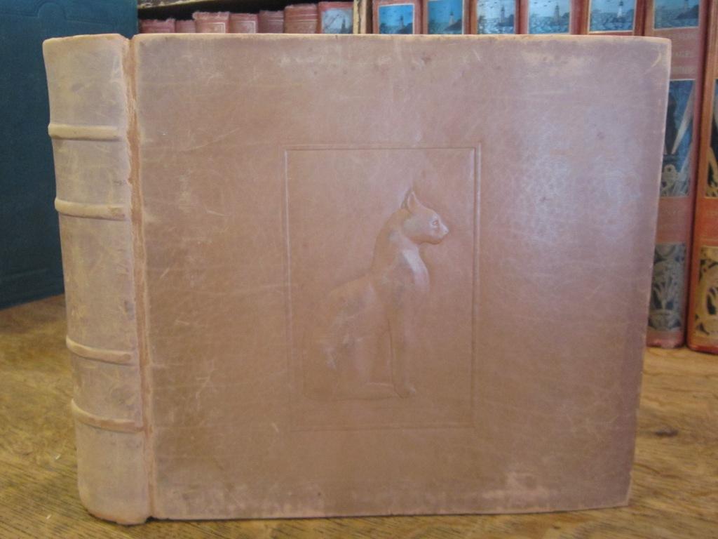 Le Chat Dans La Litterature Et Dans L Art By Conan Fallex Jacqueline Assez Bon Couverture Rigide 1926 Edition Originale H Picard Et Fils Depuis 1902