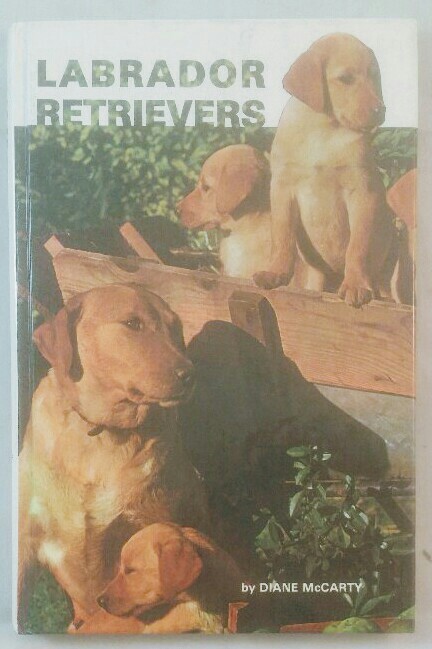 Vintage Colour  QW.985 Labrador Dog  by  D Constance Littlehampton