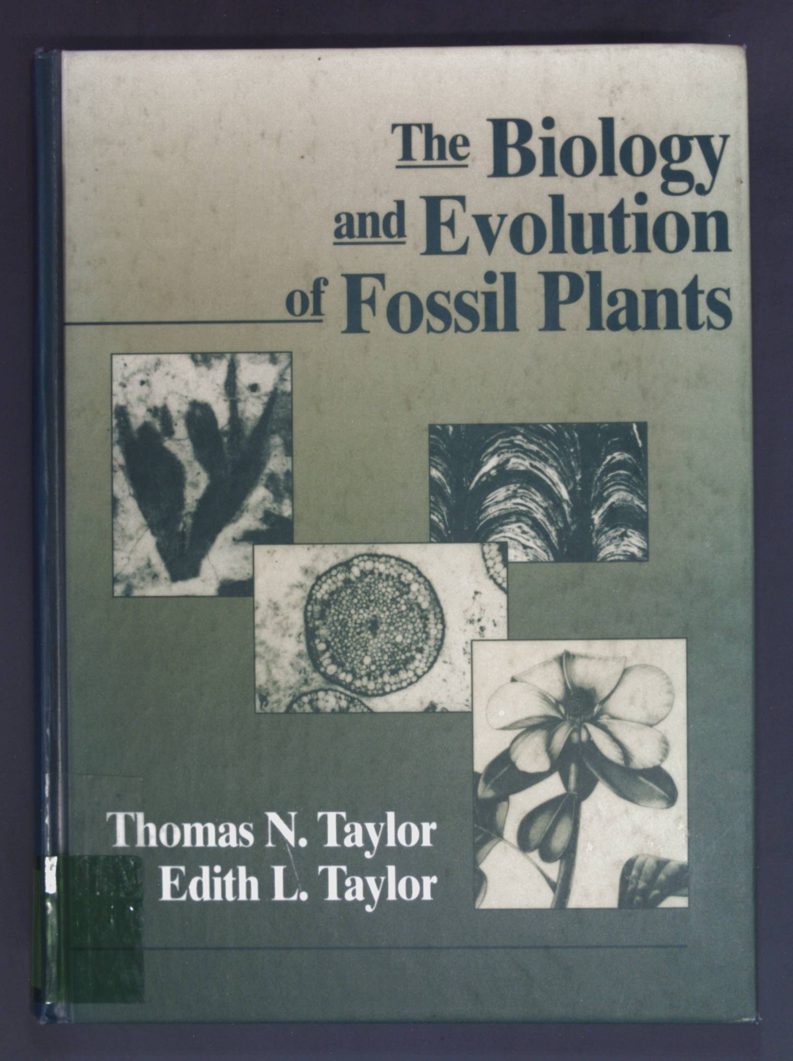 The Biology and Evolution of Fossil Plants. - Taylor, Thomas N. and Edith L. Taylor