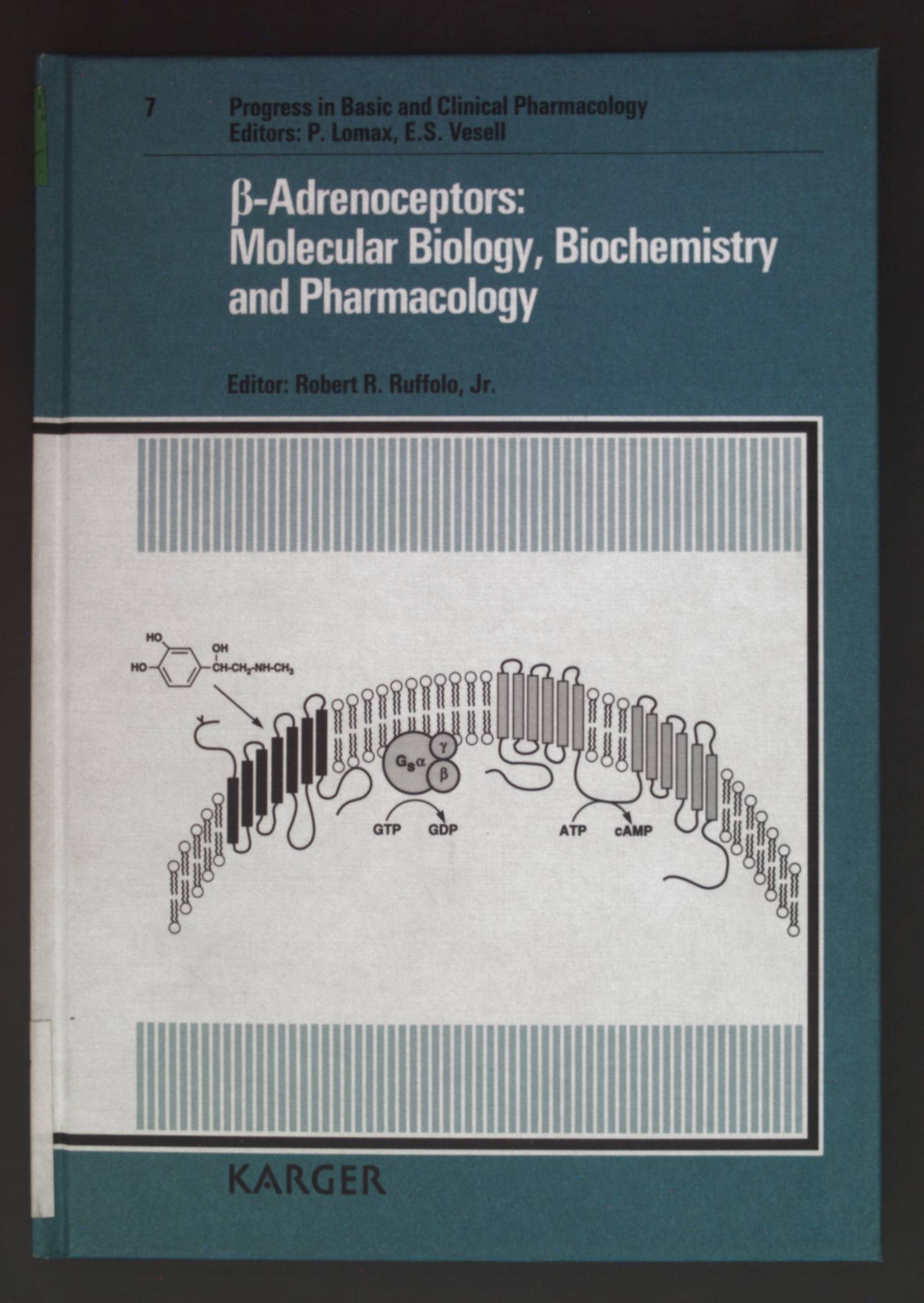 ß-Adrenoceptors: Molecular Biology, Biochemistry and Pharmacology. Progress in Basic and Clinical Pharmacology: Band 7. - Ruffolo, Robert R jr