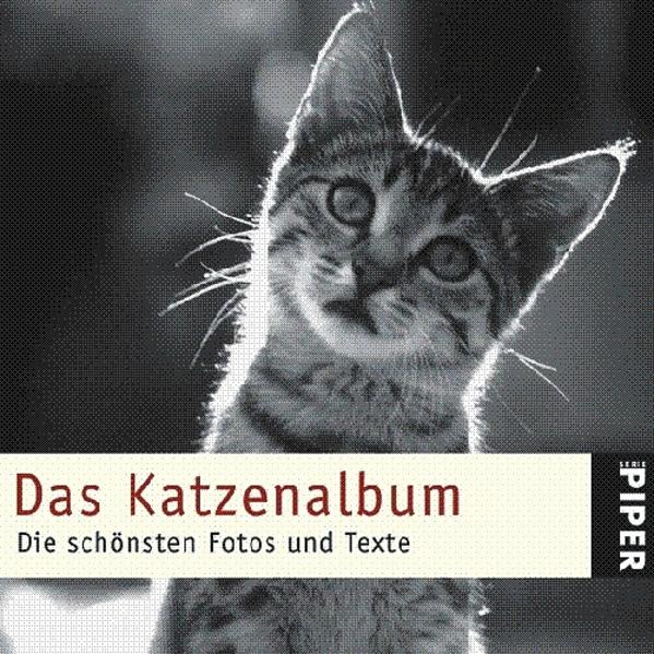 Das Katzenalbum : die schönsten Fotos und Texte. hrsg. von Julia Bachstein / Piper ; 4846 - Bachstein, Julia