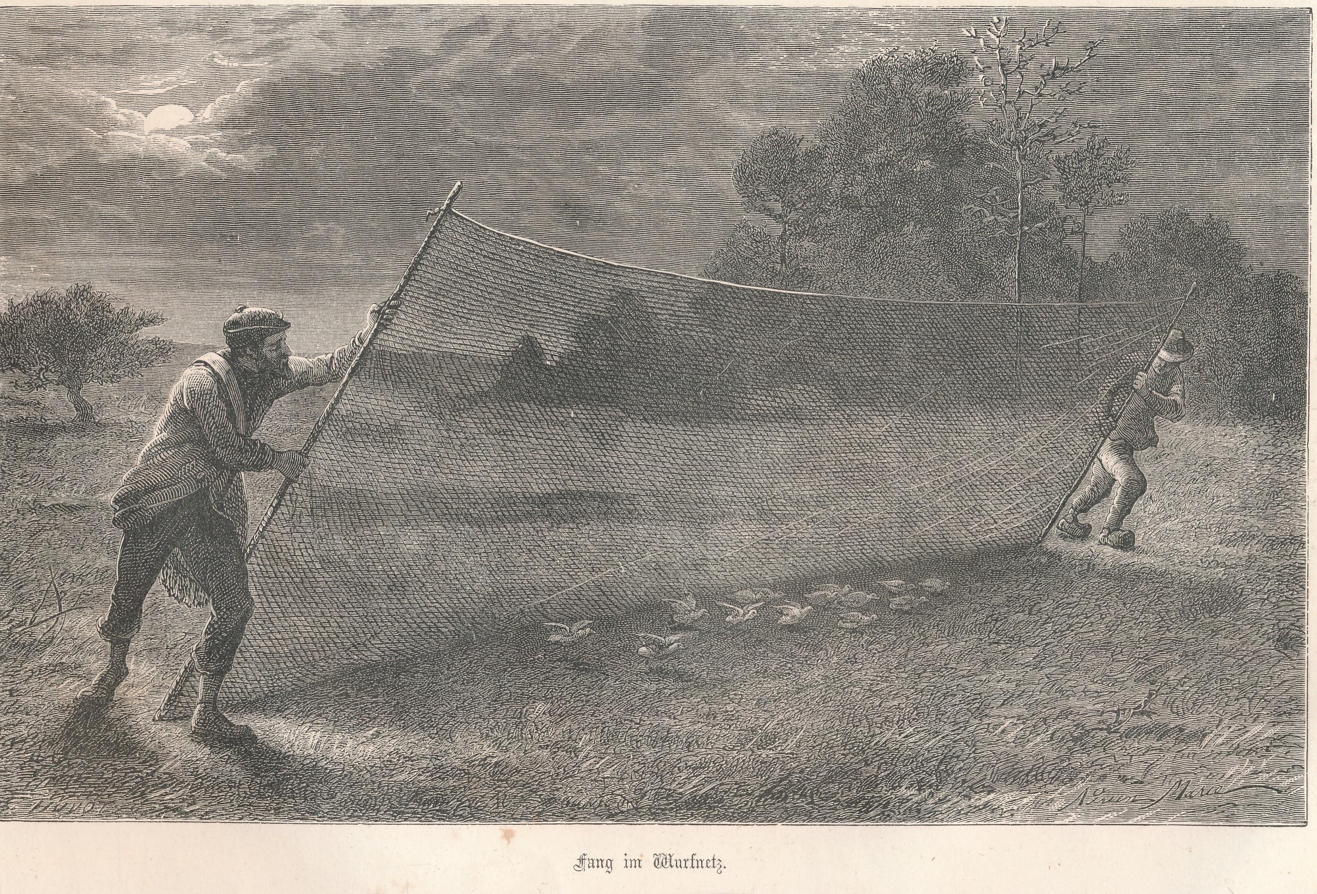 Fang im Wurfnetz,Holzschnitt von Huyot, Marie: Gut Softcover (1873