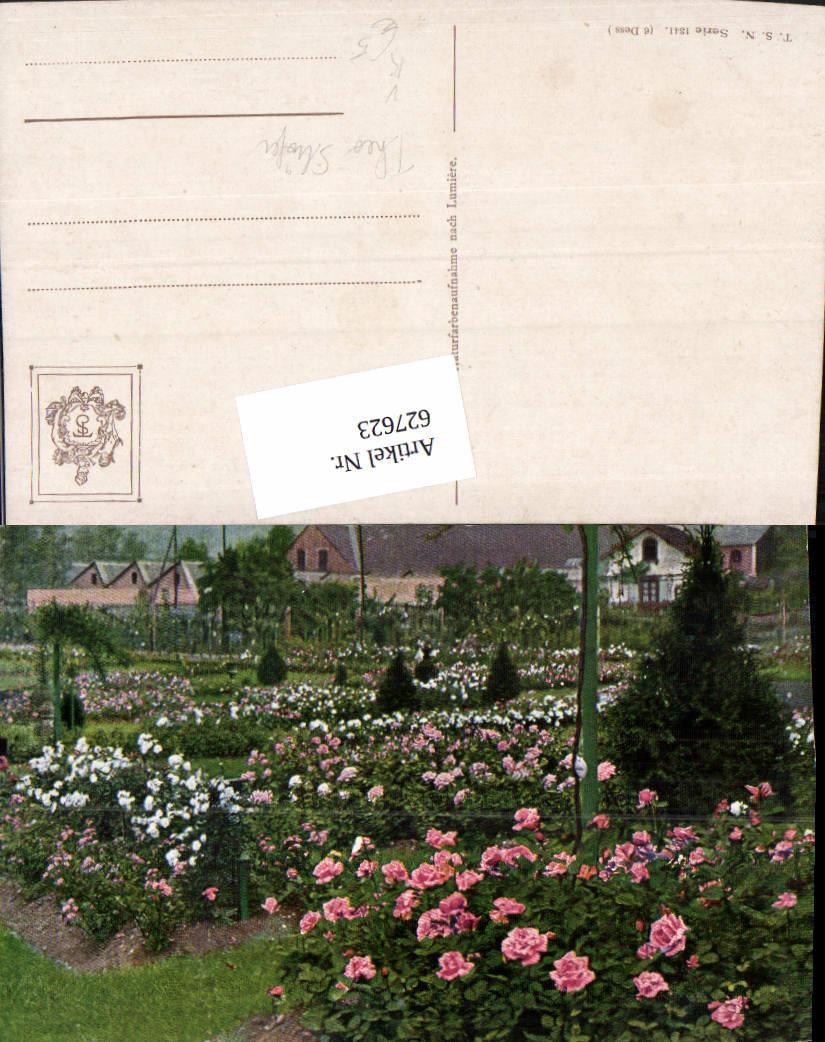 627623,Künstler Ak Garten Rosen Blumen Park pub Theo Stroefer 1341