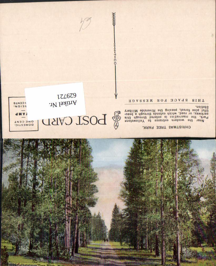 629721,Christmas Tree Park Yellowstone National Park Wyoming
