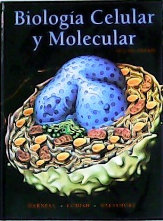 Biología Celular y Molecular. Traducción de Daniel Grinberg Vaisman - DARNELL, James, Harvey LODISH y David BALTIMORE.-