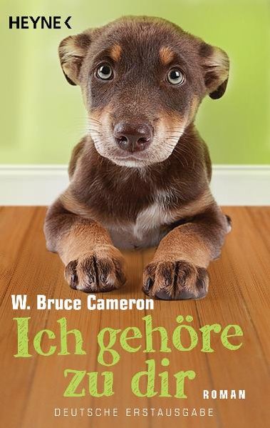 Ich gehöre zu dir: Roman - W. Bruce, Cameron und Beleites Edith