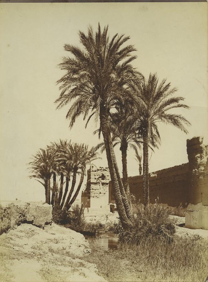Morocco Marrakech City Wall Palm Trees Old Photo Felix 1915 by FELIX ...