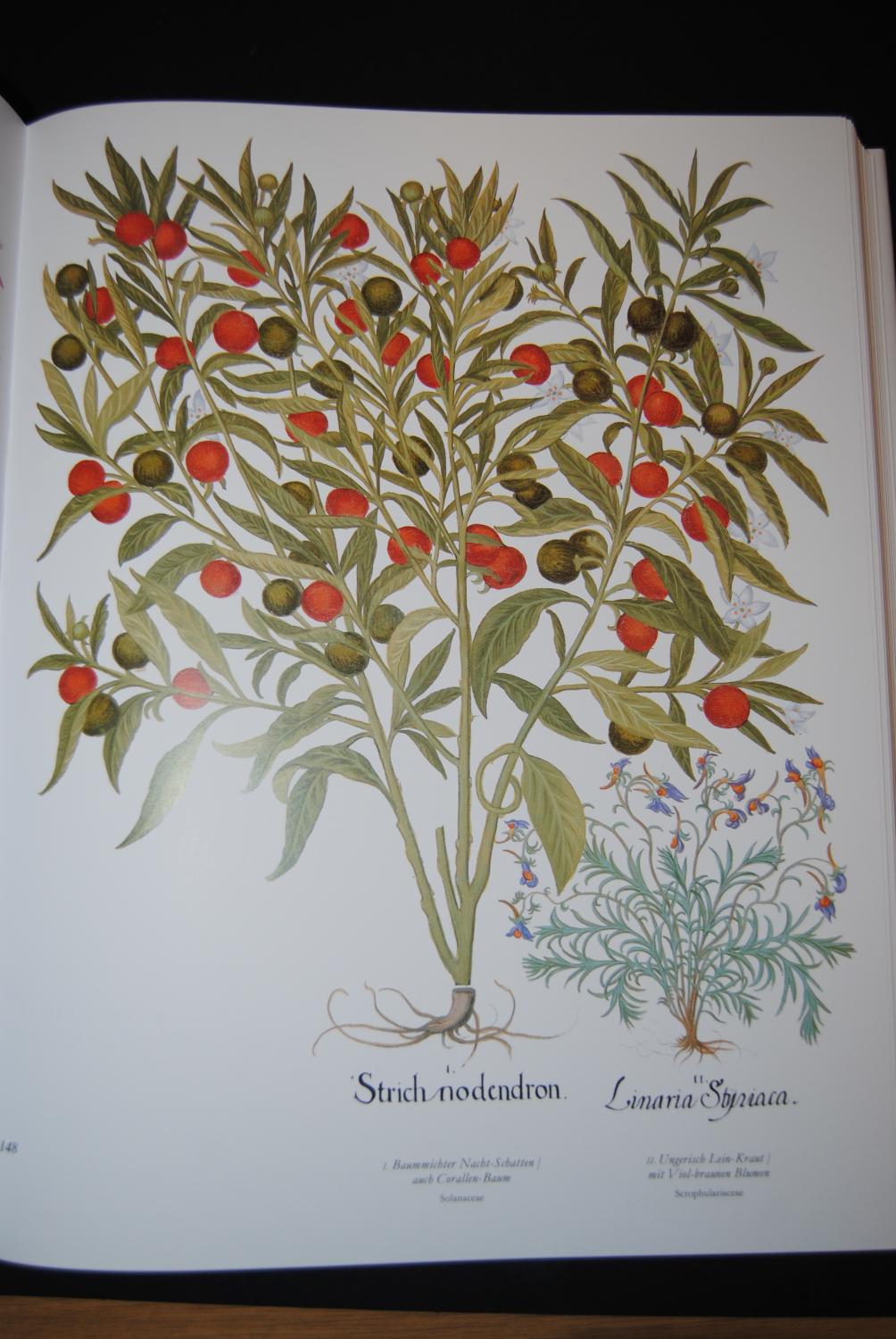 Der Garten von Eichstätt. Hortus Eystettensis. Das große Herbarium des