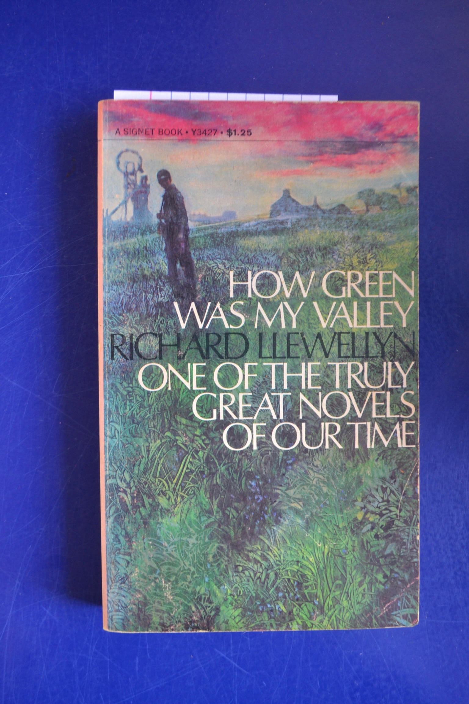 1967 How Green was My Valley Paperback Book by Richard Llewellyn