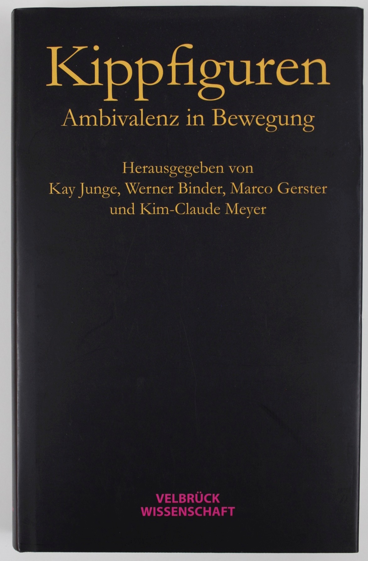 Kippfiguren. Ambivalenz in Bewegung - Kay, Junge