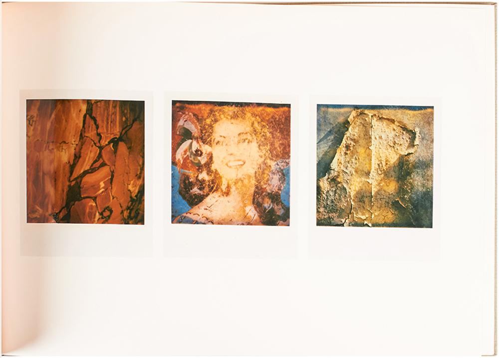 Arno Fischer Der Garten / The Garden by FISCHER, Arno (2007) Harper
