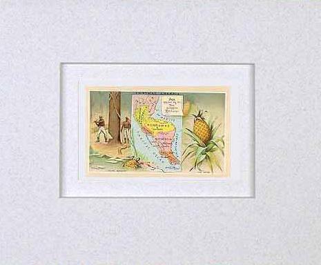 MATTED Arbuckles Coffee Card of Central America (Showing Guatamala, Honduras, Nicaragua, Costa Rica, El Salvador, and Balize)' Arbuckles Coffee Compa