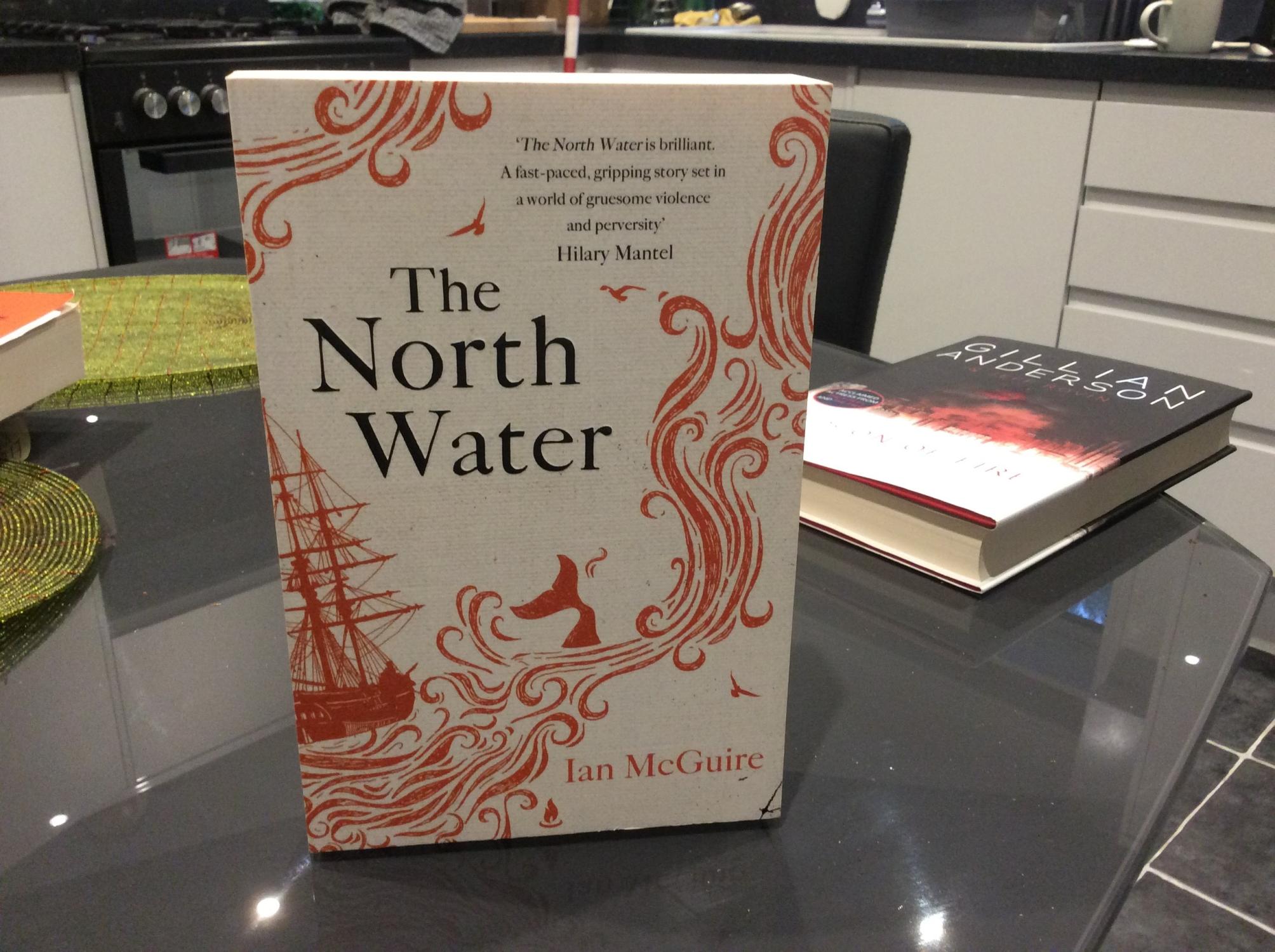 The North Water *******UK UNC PROOF***** by McGuire, Ian: Fine Soft