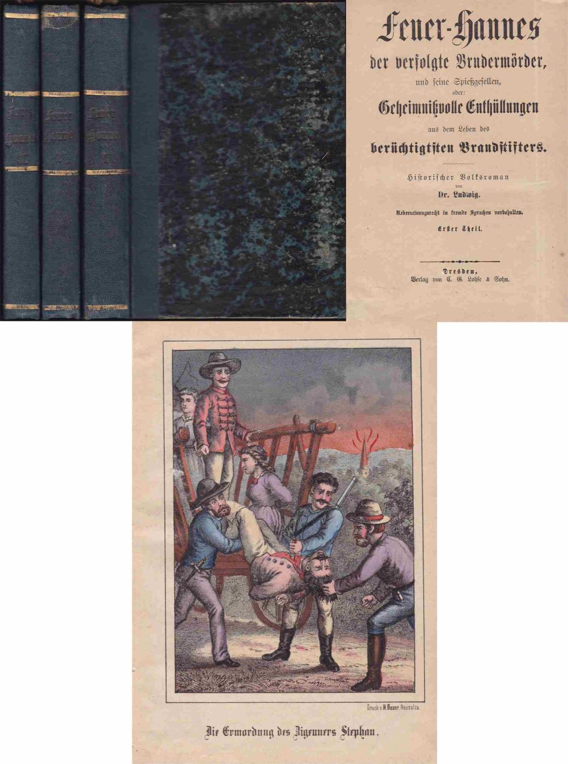 Feuer Hannes Der Verfolgte Brudermorder Und Seine Spiessgesellen Oder Geheimnisvolle Enthullungen Aus Dem Leben Des Berucktigten Brandstifters Erster Dritter Theil Komplett By Ludwig Dr Graphem Kunst Und Buchantiquariat