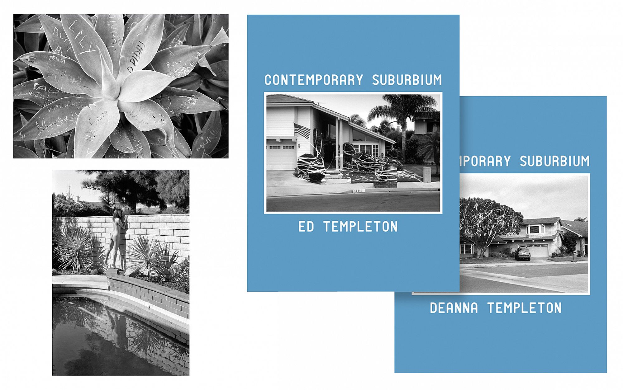 アート・デザイン・音楽 Ed Templeton : Contemporary Suburbium Ed & Deanna Templeton: Contemporary Suburbium, Special Limited
