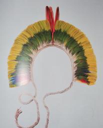 A PLUMARIA INDIGENA BRASILEIRA NO MUSEU DE ARQUEOLOGIA E A PLUMARIA INDIGENA BRASILEIRA NO MUSEU DE ARQUEOLOGIA E