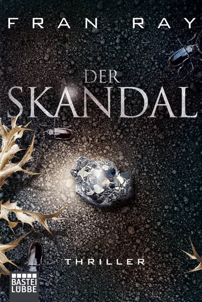 Der Skandal: Thriller (Allgemeine Reihe. Bastei Lübbe Taschenbücher) - Ray, Fran