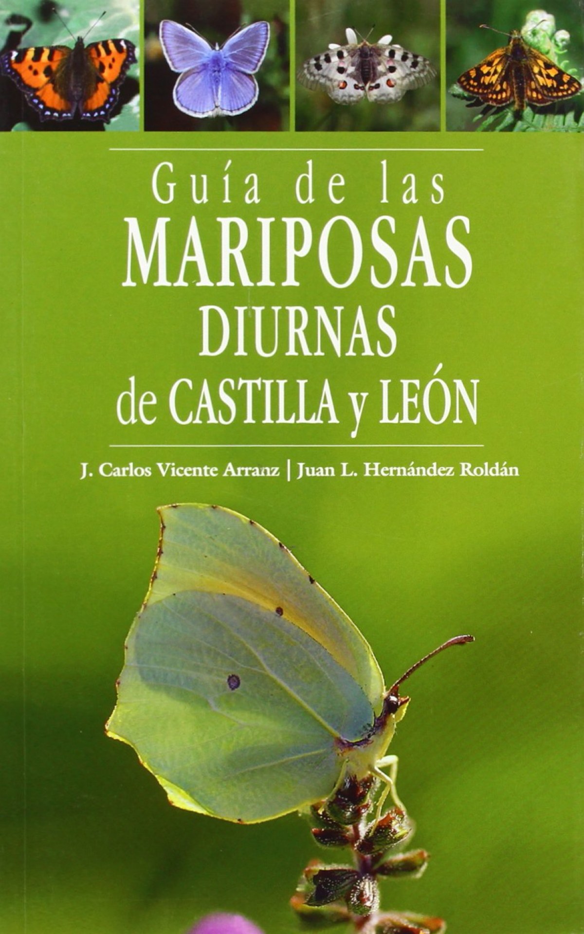 Guía de las mariposas diurnas de Castilla y León - Arranz, Juan Carlos Vicente