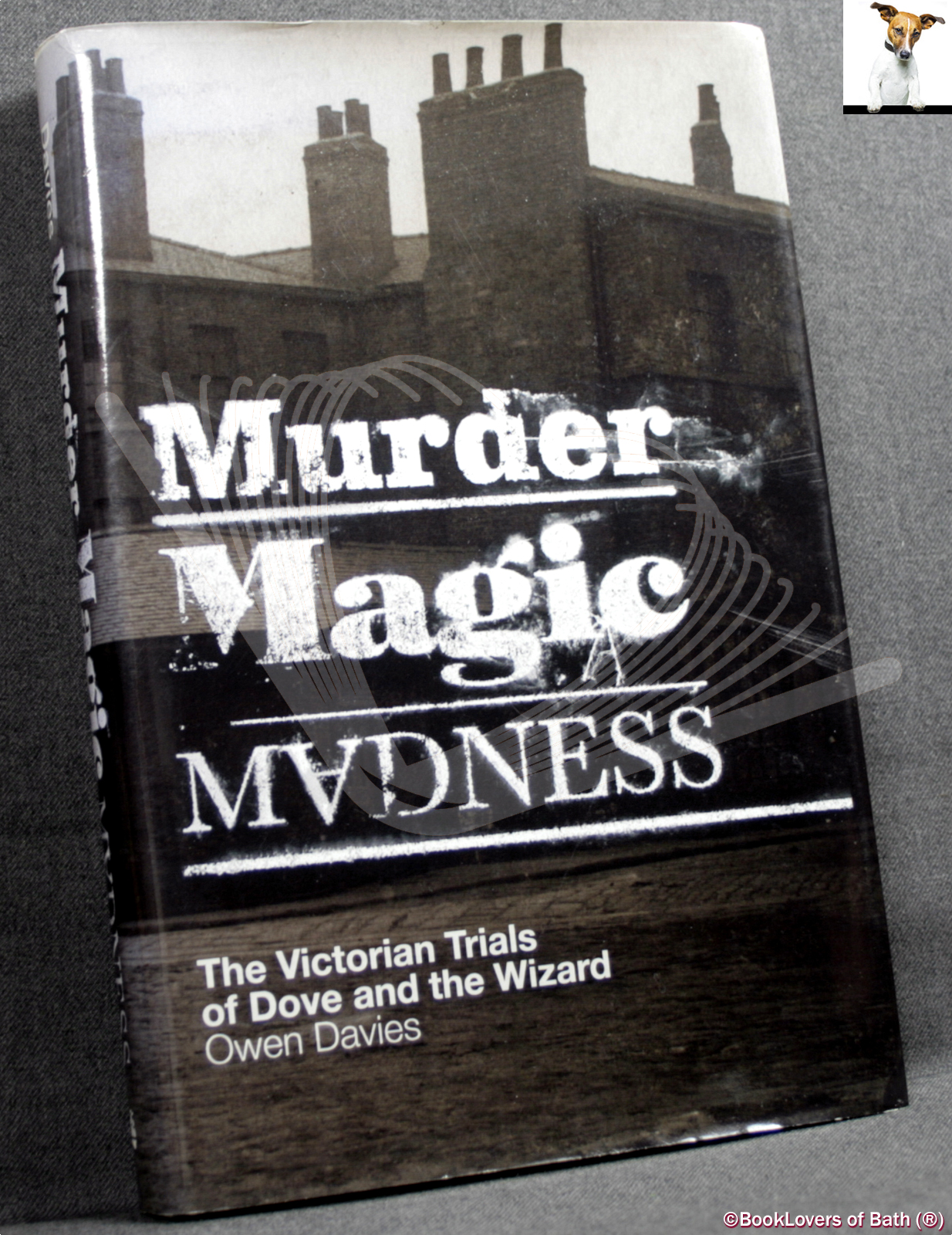 Muder, Magic, Madness: The Victorian Trials of Dove and The Wizard - Owen Davies