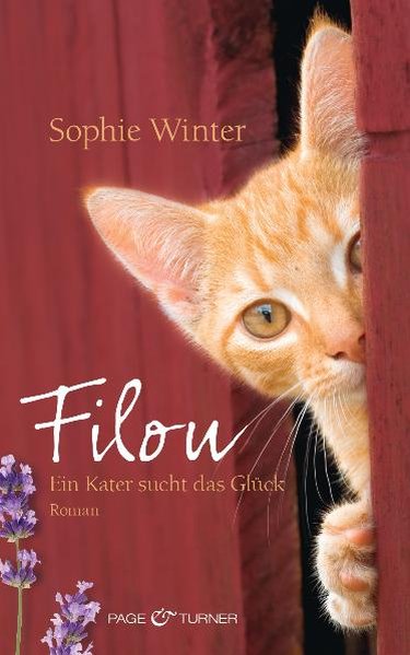 Filou: Ein Kater sucht das Glück - Roman - Winter, Sophie