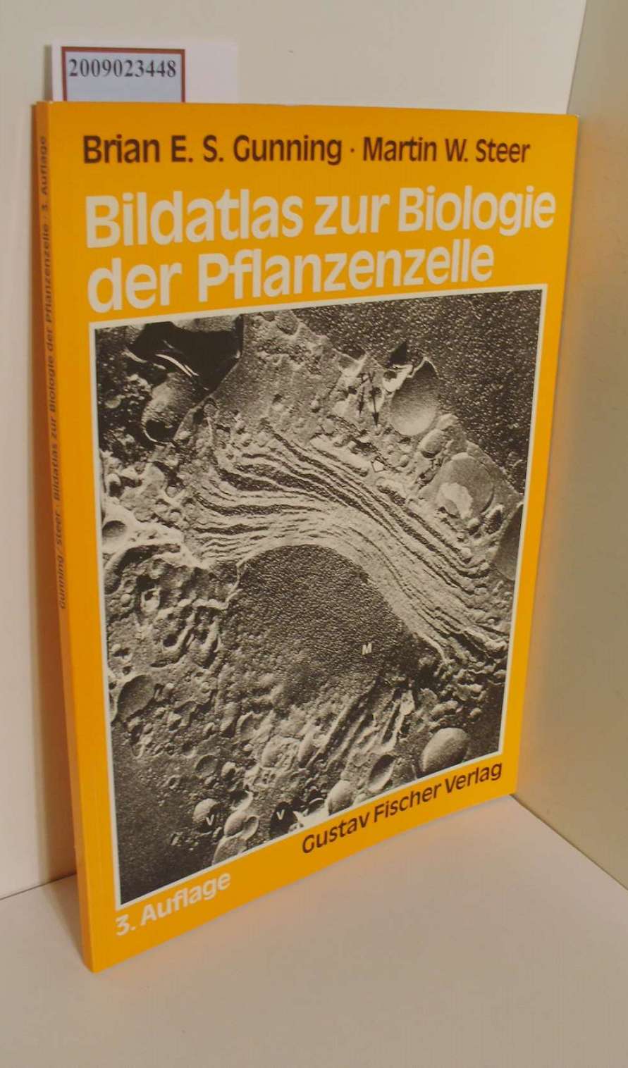 Bildatlas zur Biologie der Pflanzenzelle von Brian E. S. Gunning, Martin W. Steer. Aus d. Engl. übers. von Kurt Dieter Zaar - Gunning, Brian E. S. und Martin W. Steer