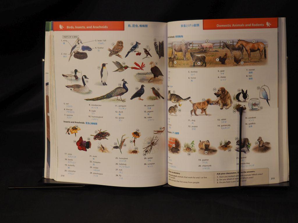 Picture Dictionary English Japanese Picture Dictionary English Japanese
