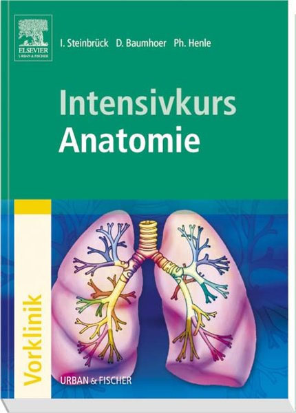 Intensivkurs Anatomie - Steinbrück, Ingo, Daniel Baumhoer und Philipp Henle