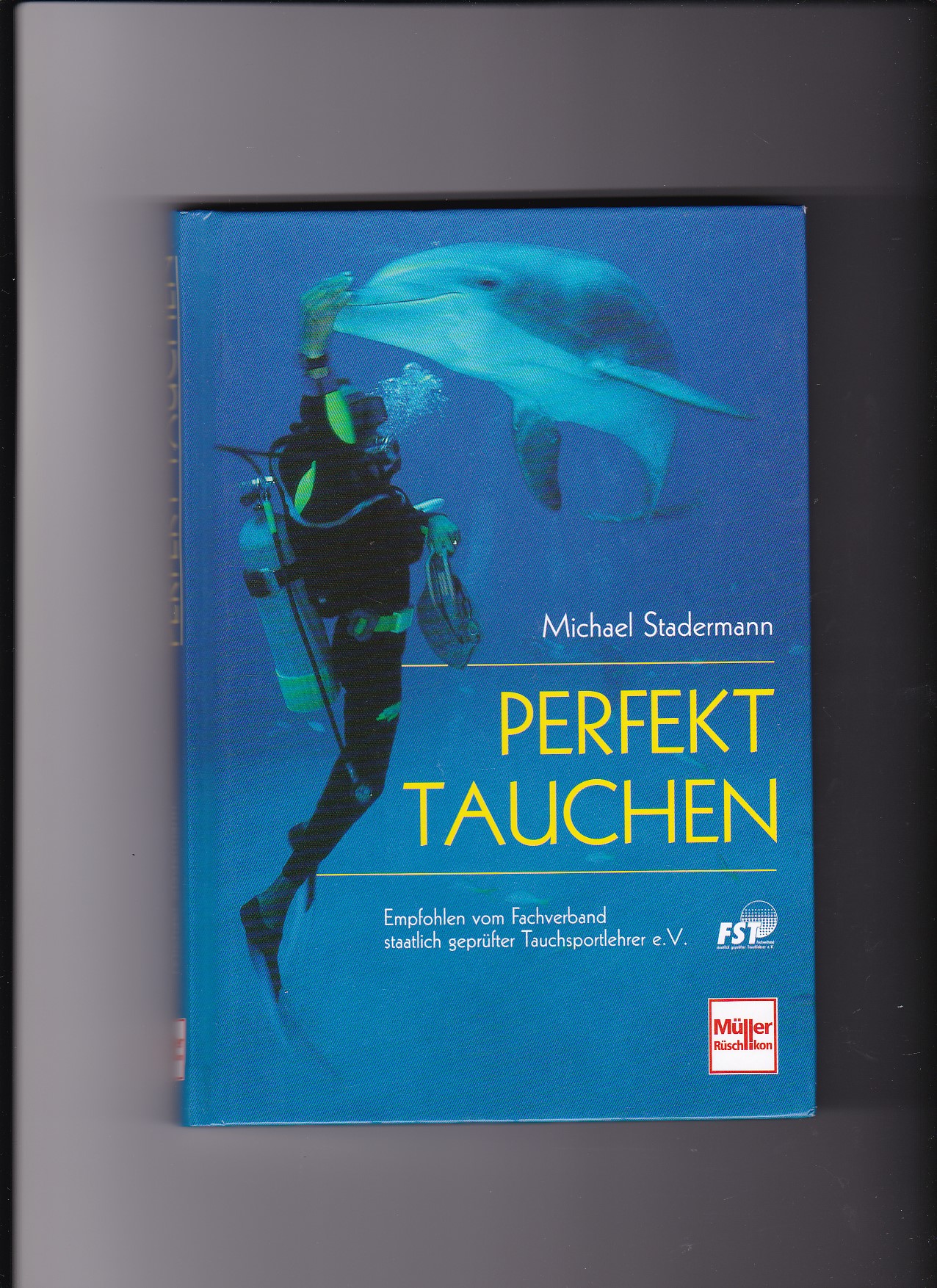 Michael Stadermann, Perfekt tauchen - Sport, Begegnung und Wahrnehmung im Element Wasser - Stadermann, Michael