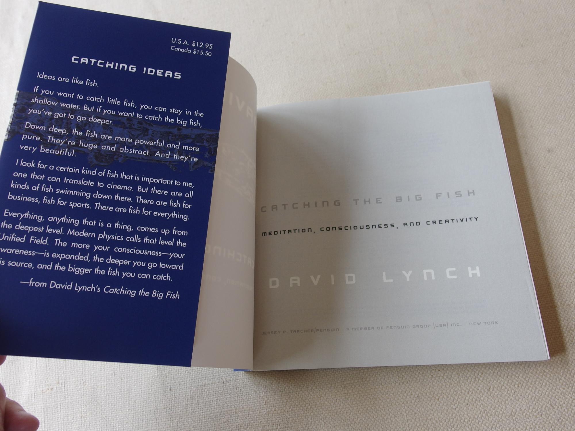 Catching the Big Fish: Meditation, Consciousness, and Creativity by