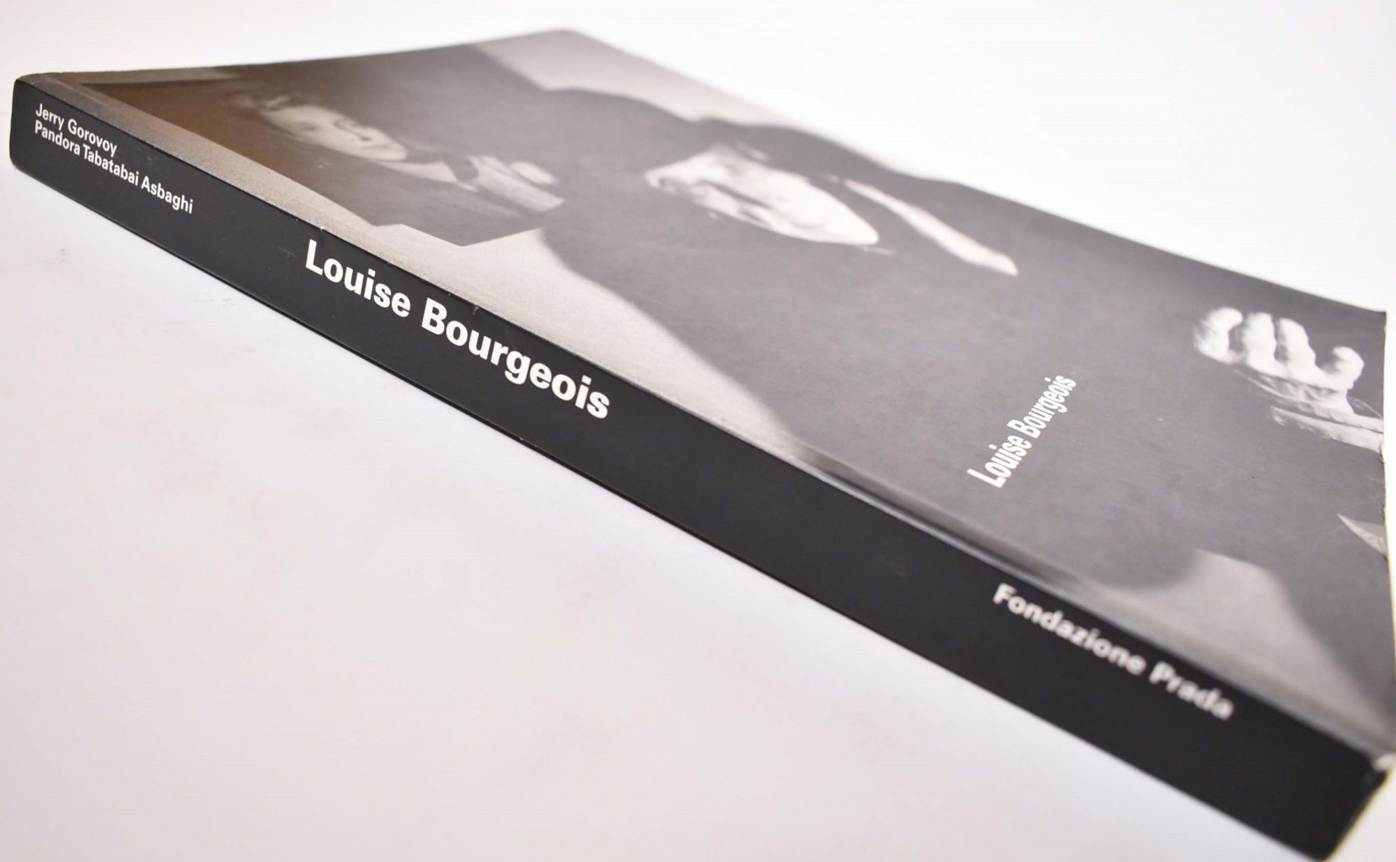 Louise Bourgeois: Blue Days and Pink Days par Gorovoy, Jerry
