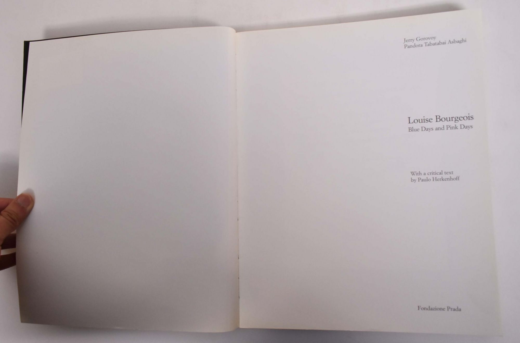 Louise Bourgeois: Blue Days and Pink Days par Gorovoy, Jerry